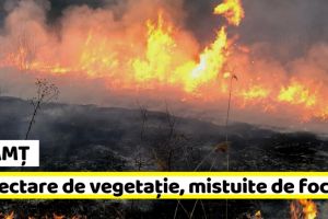NEAMȚ: 15 hectare de vegetaţie uscată, mistuite de flăcări