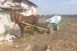 La un pas de tragedie! Un minor nesupravegheat a fost lovit de o caruta, pe raza localitatii Cumpana