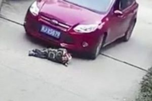 O cântăreaţă din România a spulberat cu maşina un om. Breaking News