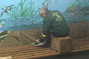 FOTO: Zoo Târgu-Mureş se pregăteşte pentru primăvară!