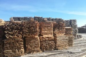 FOTO: 227 de sancţiuni contravenţionale, în valoare de 84.000 lei, cu ocazia unor controale pentru combaterea delictelor silvice