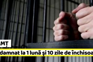 NEAMȚ: Condamnat la 1 lună şi 10 zile de închisoare cu executare