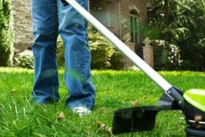 A venit primavara! Cumpara motocoasa pe benzina sau electrica! Afla cat costa (P)