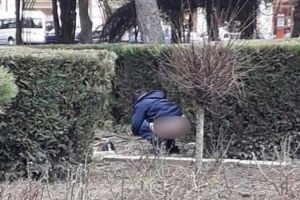 FOTO. Incredibil! Persoană surprinsă în timp ce îşi face nevoile în Parcul Central