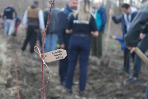 IPJ Ialomiţa: Plantăm împreună pentru un mediu sănătos
