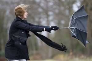 Cod galben de vânt şi ninsori viscolite la munte, în Bihor