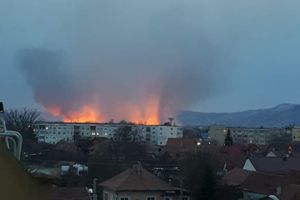 FOTO Incendiu puternic de vegetaţie în Făgăraş