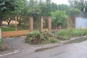 Ecosal adună deşeurile vegetale de pe spaţiile publice