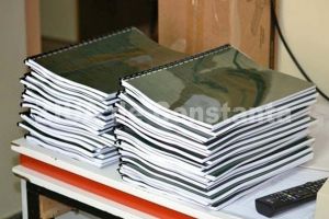 Veronica Danuta Georgescu, realeasa presedinte al Consiliului de Administratie al societatii Litoral SA