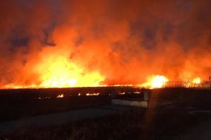 Infernul pe  DN1 – Blocaj la intrarea în Făgăraş dinspre Sibiu din cauza unui puternic incendiu