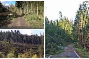 FOTO ȘTIREA TA / Cum arată DN1 R, de la Mătişeşti în sus, la trei zile după furtună