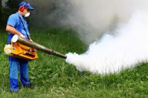 Operaţiunea „Dezinsecţia”, în parcurile din Galaţi