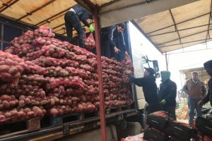 Politistii au verificat mai multe societati, piete si targuri din Constanta. Bunuri confiscate (galerie foto) 