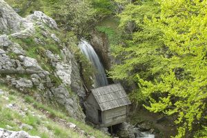 Valcea: La pas prin sălbăticia munţilor: Cascada ‘’Moara Dracilor’’