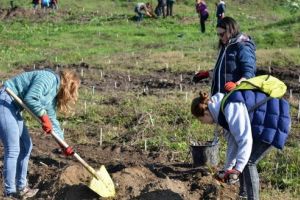 A început “Luna pădurii”! Peste 1 milion de puieţi vor fi plantaţi în Mureş!
