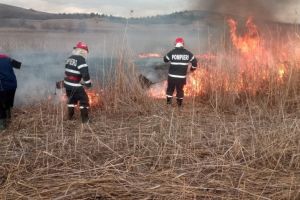 Incendiu in judetul Tulcea. Flacarile ameninta o ferma. Intervin salvatorii si localnicii (galerie foto)