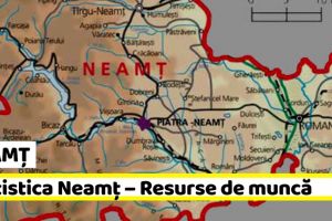 NEAMȚ: Statistica Neamţ – Resurse de muncă