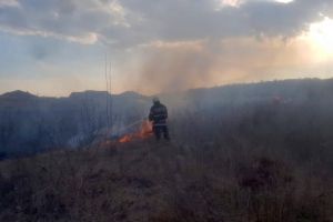 INCENDIU de vegetaţie uscată în Alba Iulia, pe strada Elixirului