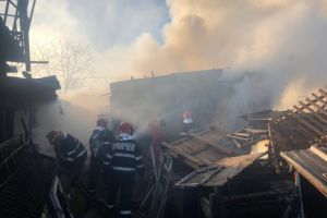 Incendiu cumplit in judetul Brasov. Zeci de animale moarte. Interventie de amploare a salvatorilor