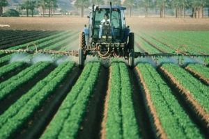 Cele mai bune erbicide pentru culturile tale