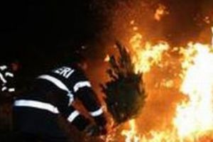 La Albeştii de Muscel ard 9 hectare de vegetaţie!