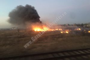 CONTEȘTI: Incendiu de vegetaţie, la aproximativ 1 km de depozitul de gaze petroliere lichefiate
