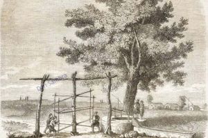 Amintiri din vremea holerei: Razboiul Crimeii si Dobrogea anului 1854 (III). Pandemia globala si dezastrul de la Varna - marturiile