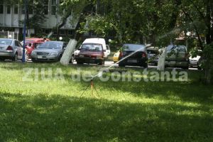 Directia Generala de Asistenta Sociala Constanta cumpara serviciul de intretinere a spatiilor verzi (document) 