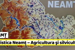 NEAMȚ: Statistica Neamţ – Agricultura şi silvicultura