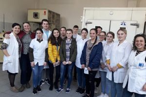 Proiecte pentru dezvoltarea şi promovarea învăţământului profesional dual, la Colegiul de ...