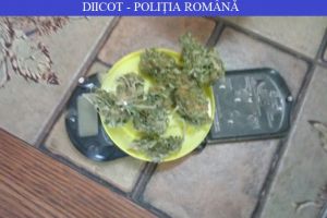 Suspecti de trafic international de droguri de risc, retinuti de procurorii DIICOT. Ce au stabilit anchetatorii 
