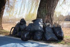 ZECI DE SACI DE GUNOAIE adunate în Parcul Copiilor, de voluntari. „Ne-am săturat să fim înconjuraţi de mizerie, de mirosuri, de nesimţire”
