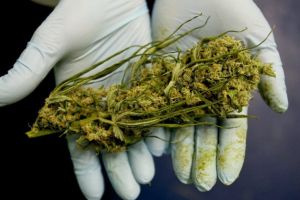 Prins de poliţşti după ce a cumpărat cannabis de pe Facebook