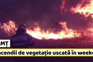 NEAMȚ: 13 incendii de vegetaţie uscată în weekend. 16 hectare mistuite de flăcări