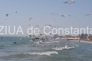 Cum va fi vremea la Constanta in urmatoarele doua saptamani. Ce spun meteorologii