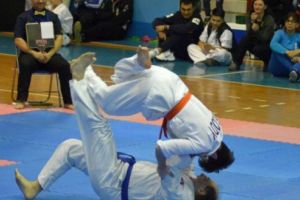 Rezultate deosebite pentru karateka mureşeni la Naţionalele de Kyokushin