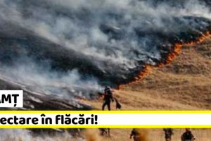 NEAMȚ: 10 hectare în flăcări! Incendiul ameninţă să se propage şi la fondul forestier