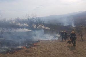 Incendiu de vegetaţie uscată la Ghinda (FOTO)