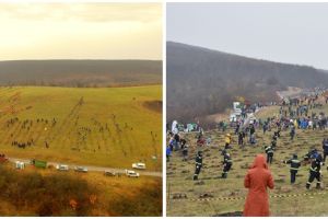 Peste o mie de voluntari au plantat 17.000 de pomi pe dealul de la Cralovăţ, în Timiş