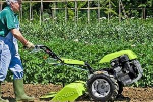 Motocultor - tot ce trebuie sa stii cand lucrezi pamantul cu el