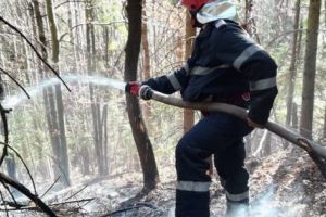 Focul din curte i-a ars mâinile şi faţa