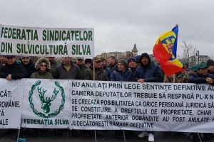 Silvicultorii pichetează din nou Parlamentul