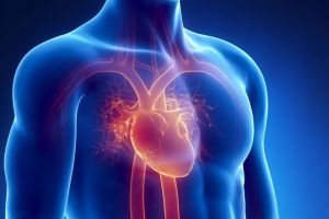 Probleme la INIMĂ pentru un important fotbalist arădean. Acesta va fi operat la Viena