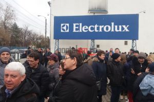 SOLIDARITATE. Cartel Alfa vrea să rezolve salariile greviştilor de la Electrolux!