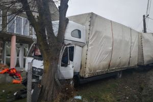 Camion intrat într-un copac la Blăjeni. Șoferul a rămas încarcerat (FOTO)
