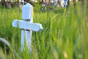 De ce Sfinţii Părinţi consideră moartea ca pe un dar de la Dumnezeu?