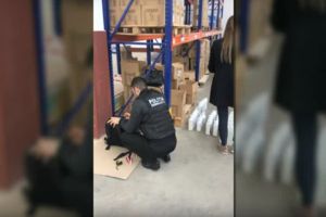 NEWS ALERT/ Un NOU SCANDAL legat DEZINFECTANŢII utilizaţi în spitale (VIDEO)