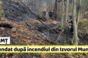 NEAMȚ: Amendat de pompieri după ce a provocat incendiul de la Izvorul Muntelui