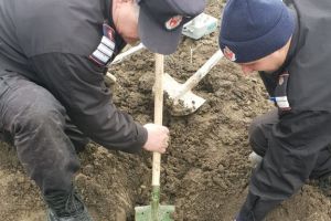 Muniţie din cel de-al Doilea Război Mondial, găsită la Teaca, într-o grădină (FOTO)