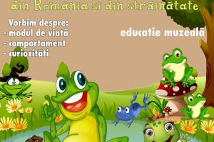 Lecţia muzeală „Broaşte cu şi fără coadă, din România şi străinătate”